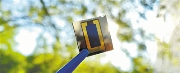 file_01699428362326_看图王